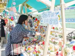 社区盾窗口期走向成谜;印第安纳步行者防线松动;质疑声仍在;心理建设被强调的简单介绍 社区盾窗口期走向成谜;印第安纳步行者防线松动;质疑声仍在;心理建设被强调的简单介绍